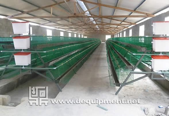 Plastic Coated Layer Cage